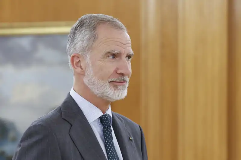 Rey Felipe VI